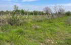 TEREN INTRAVILAN-500 MP-STR.VIILOR - 1