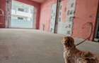 Apartament 2 camere decomandat Pallady cu PARCARE BONUS,Oportunitate - 5