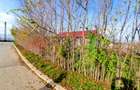 Casa cu teren generos in Mosneni – oportunitate excelenta pentru locuinta sau in - 1