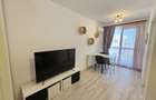 Apartament cu o camera de inchiriat, Hils Pallady - 7