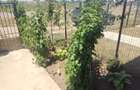 Vila tip Duplex P+1+M, curte / Otopeni-Tunari / Comision 0% - 3