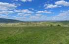 TEREN | BALNACA | 6301MP | BIHOR - 1