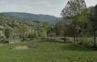 Vanzare teren exceptional, Valea Doftanei, Florei-Secaria, 22000mp, 250 000 euro - 5