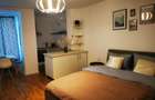 apartament 1 camera Bulevardul Take Ionescu / Medicina ! - 9