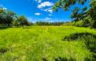 Teren intravilan   Cotmeana Arges - 3