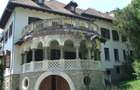 Conac istoric clasa B, 13 ha teren, valoare istorica - 10