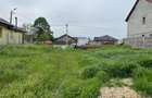 Remetea Mare, Teren Intravilan 1.500 Mp., - 4