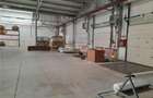 Spatiu Industrial - 6500 mp - Productie - Depozitare - 15