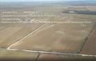 Teren 45 Ha Corbeanca – PUZ Ansamblu Rezidențial | Proiect Inclus - 4