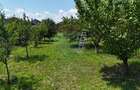 Casă batraneasca cu 3 camere-Oportunitate de Investiție in Domnesti - 8