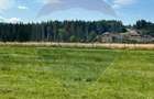 Teren parțial intravilan 30,930 mp Poiana Stampei-DN E58, Suceava - 11
