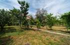 Casa 5 camere - teren 688 mp - Parneava - COMISION 0 - 8