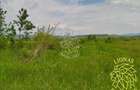 Teren 13100 mp-parcelabil-ideal cabana/agricultura-Orheiul Bistritei - 2
