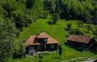 FILM! Proprietate autentica, Bran-Simon, 4.300 mp teren, casa traditionala + ane - 45