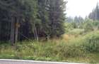 vând teren 3000 mp intravilan Lac Vidra, Voineasa, Valcea 3 km de partia de ski  - 3