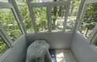 Apartament 2 camere Alexandru cel Bun - Zimbru - 11
