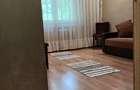 Oferta- Apartament 3 camere Ozana, parter, mobilat, pret excelent - 9
