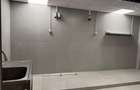 Spatiu Comercial 336 mp - Ultracentral, Piata Victoriei (Investitie) - 3
