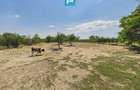 Casă cu 6 camere în Sânicolau Mare Timiș - 21