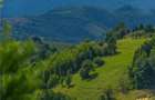 FILM! Cu view panoramic la 360 grade, teren 10.335 mp, Poiana Marului - 3