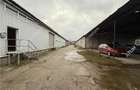 Hala industriala 1200 mp utili de inchiriat in Cisnadie - 10
