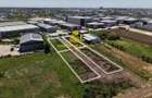 HALA INDUSTRIALA NOUA 550 MP - Sos Centura | MAGURELE – ILFOV | - 10