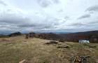 TEREN 34.000 MP | SERANI BIHOR - 5