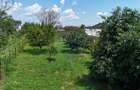 Casă batraneasca cu 3 camere-Oportunitate de Investiție in Domnesti - 4