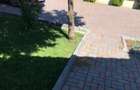 Vila cu piscina pe malul Lacului Snagov teren 2000mp 6900eu/luna sau 1950k vanza - 9