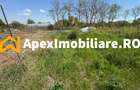 Teren intravilan de vanzare  Cornetu IF | ApexImobiliare.ro - 6