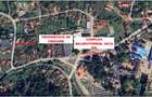 Casa cu teren, aproape de centrul balneo-termal Vata Bai - 11