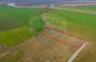 Teren intravilan 10.000 mp în Zona Industrială Sud Arad - 9