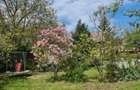 casa curte/ Otopeni/ curte foarte mare/firma rent a car/parcare long t - 10