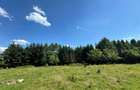 Teren intravilan 5.755 mp | Zona Muzeul Satului Maramureșean, Sighetu Marmației - 2