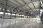 Hala industriala 1400mp | Giarmata - 1