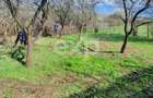 Casă la țară de vânzare – Buzoesti, Argeș | Ideală pentru locuit sau relaxare - 8