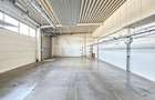Hala industriala 4.300mp | Sagului | Timisoara | - 12