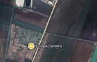 Teren strategic DN7 – 41.000 mp, front stradal 500 m, lângă centura Vladimirescu - 2