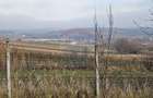 Teren extravilan 10,791mp Falticeni / Strada DJ209A, Opriseni - 6
