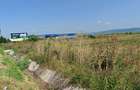 Teren intravilan, zona industriala - 4