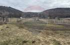 Teren 999 mp. Front 15,70 ml. Valea Garbaului - Floresti - 7