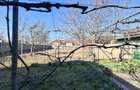 CASĂ MARE în Nădlac cu teren generos 2095mp - 19