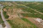 Teren intravilan 1,163mp de vânzare în Săldabagiu De Munte - 2