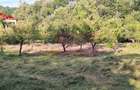 Vila de vanzare cu 6 camere si teren de 5116 mp in Cornu, Prahova - 36
