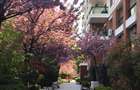 Emerald Residence - Apartament '70 mp + Parcare  Opțional - View spre Lacul Tei - 18