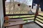 Vand casa & teren, in suprafata de 8000 mp. Rel. la tel. 0741929870. - 9