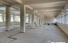 Cladire individuala SC 4900mp, teren 4500mp, Taietura Turcului - 4