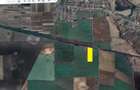 GRADISTEA - Sat Sitaru, Tarla 43, vanzare 22.200 mp. teren cu acces din DJ101 - 3