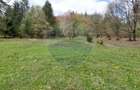 Poienita 2800mp, Covasna, zona hotel Clermont, inconjurat de padure - 15