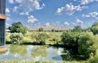 FIRST RENT/ IANCU NICOLAIE/ PRIVELISTE LAC/ PARCARE/ DRESSING - 1